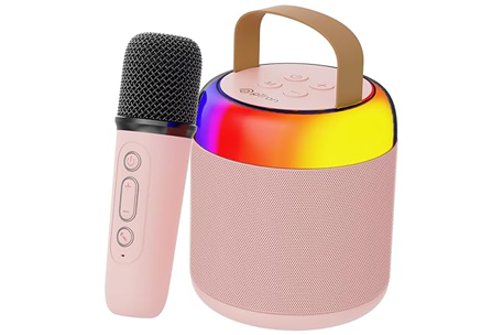 Speaker with Wireless Karaoke Mic